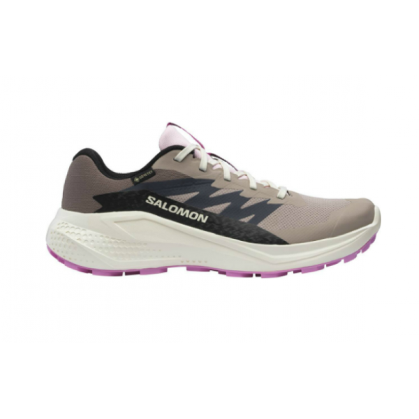 Salomon-Salomon–Alphaglide-Gtx-W-L47857900-E.-Sørdahl-1 Salomon Salomon Alphaglide Gtx W L47857900 E. Sørdahl 1