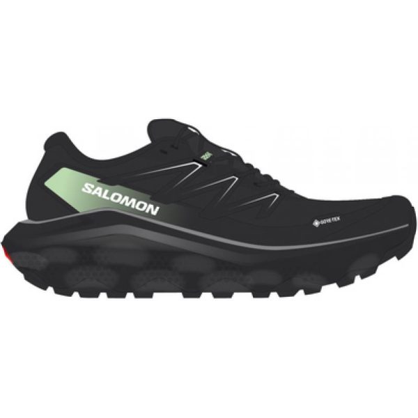 Salomon Salomon Ultra Flow 2 Gtx L47981400 E. Sørdahl 1