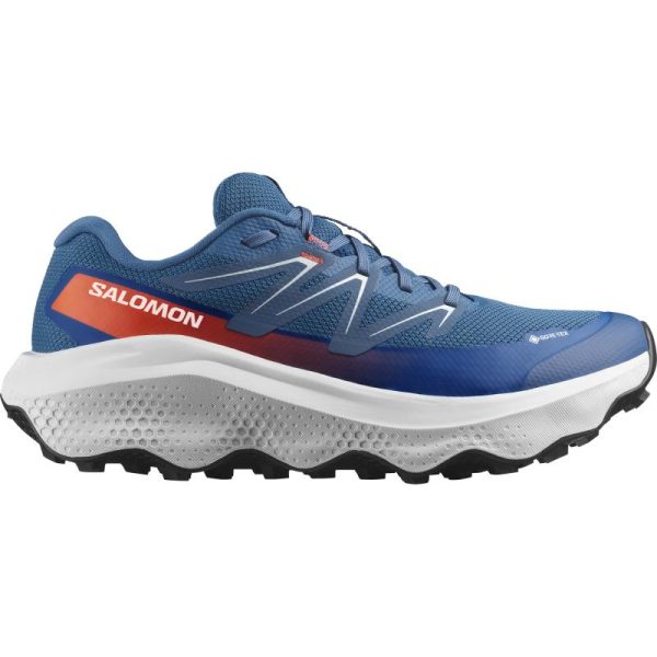 Salomon Salomon Ultra Flow 2 Gtx L47981500 E. Sørdahl 1