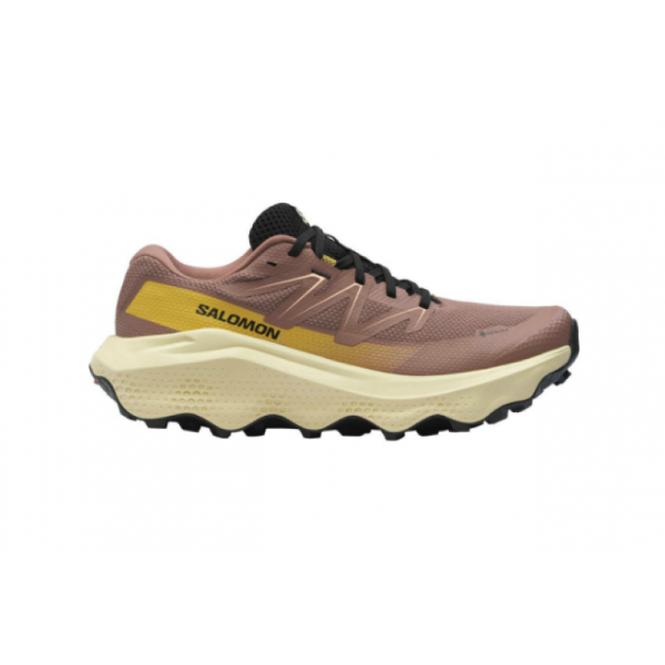 Salomon Salomon Ultra Flow 2 Gtx W L47884500 E. Sørdahl 1